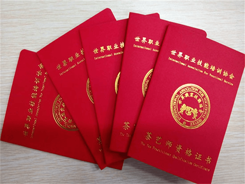 聘书任命书定制 聘书任命书定制-红金大气喜庆风